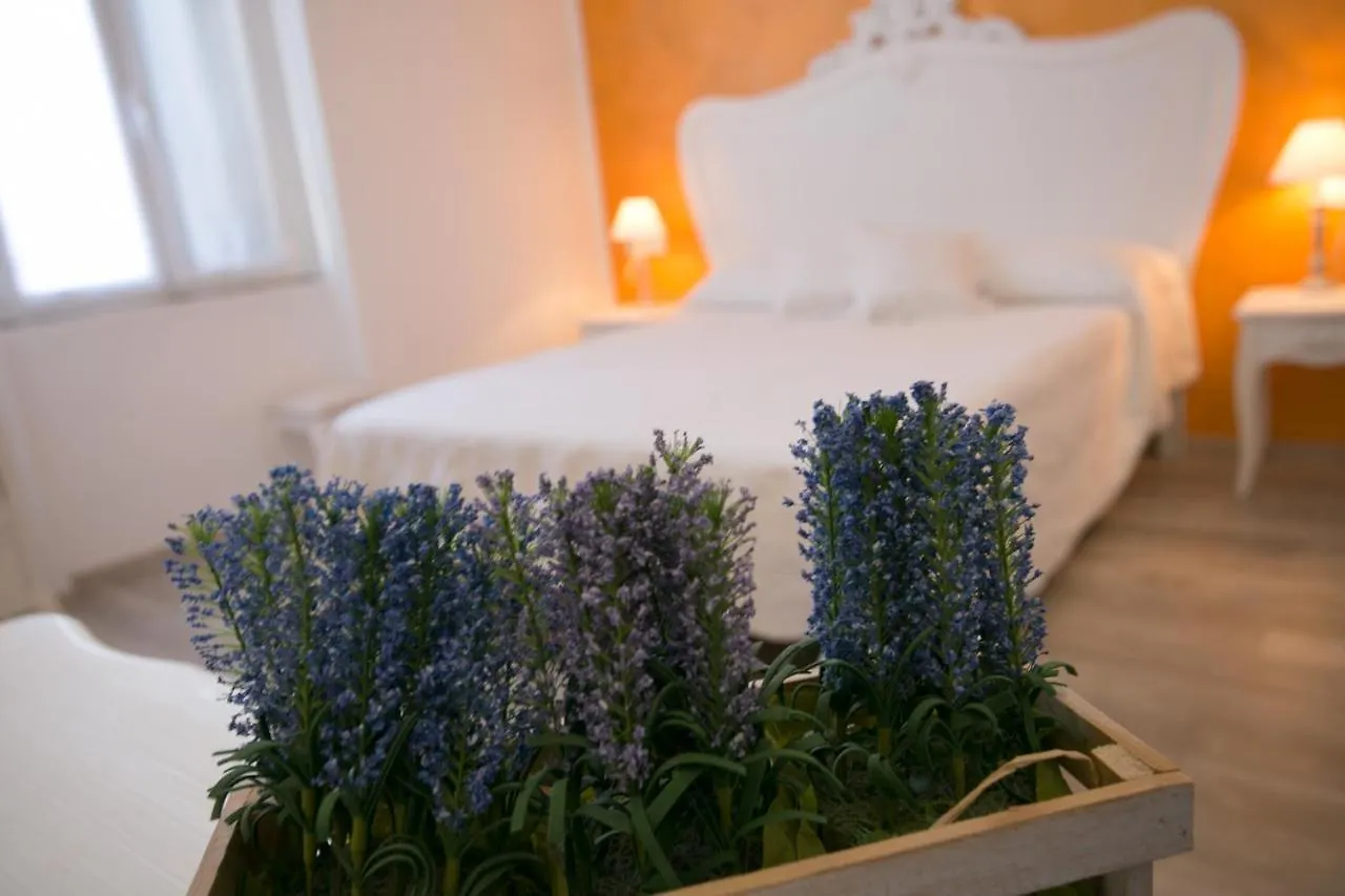 Colosseo Apartments And Rooms - Rome City Centre Italy
